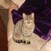 Amanda Edgington - Facebook