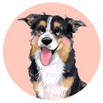 Amanda ~ PET ILLUSTRATIONS🐶 - @amandaelizabethcole - Instagram