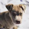 Amanda England - @amanda.england - TikTok
