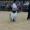 Amanda epperson - @amanda_epperson22 - TikTok