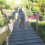 Amanda Estay's Instagram, Twitter & Facebook on IDCrawl