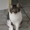 Amanda Ewald - @amandaer228 - TikTok