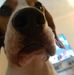 Amanda Fifield - Facebook