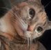 Amanda Jo Fifield - Facebook