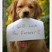Amanda Flug - Facebook