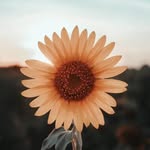 Amandaflug - @amanda.flug2024 - Instagram