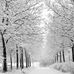 Amanda Folger - Facebook