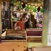 Amanda Foos - Facebook