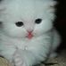 Farqisha Amanda - Facebook