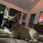 Amanda Forde - @aforde83 - Instagram