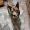 Amanda Fordyce - @amanda.fordyce3 - TikTok