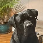 Amanda Forester - @amanda.forester.589 - Instagram