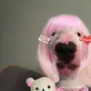 amandaforte47 - @amandaforte_7 - TikTok