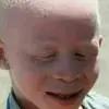 amandawixforth - @amandawixforth - TikTok