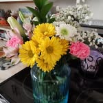 Amanda Elaine Fredette - @amanda_fredette82 - Instagram