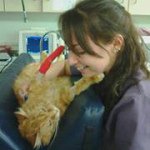 Amanda Fultz - @rossvet2013 - Instagram