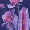 Amanda - @amanda.galasso - TikTok