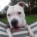Amanda Gamble - @myprincessbella2020 - Instagram