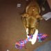 Amanda Gammon - Facebook