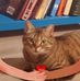 Mandy Gish - Facebook