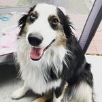 Amanda Ellen Goetz - @amanda_ellen_goetz - Instagram