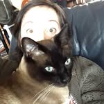 Amanda Goffard - @amanda.goffard - Instagram
