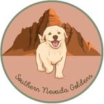 Amanda | Golden Retriever breeder | Las Vegas - @southernnevadagoldens - Instagram