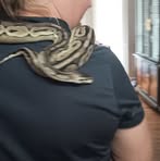 Amanda Goodson - Facebook