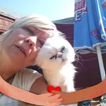 Amanda Ann Goodyear - @heavensangel.cattery - Instagram