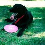 amandagram - @amandagram - Instagram