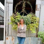 Amanda Lyons - @amandagreenelyons - Instagram