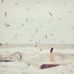 Amanda Gregor - Facebook