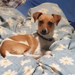 Amanda Grover - @amanda.grover._strawbs - Instagram