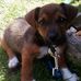 Amanda Gunning - Facebook