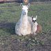 Amanda Gunning - Facebook