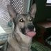 Amanda Hall Hackathorn - Facebook