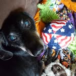 Amanda Haggard - @mcweinerton - Instagram