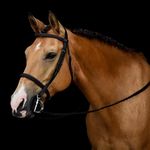 Amanda Smith-Halliday - @smithhalliday - Instagram