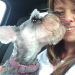Amanda Handley - @alifeofroses - Instagram