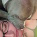 Amanda Harless - Facebook