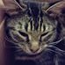 Amanda Hartline - Facebook