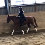Amanda Haugen Spångberg - @amandahaugen.eq - Instagram