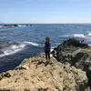 Amanda Hazell286 - @amandahazell1 - TikTok