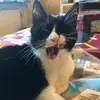 Amanda Hagström - @amanda.hagstrm - TikTok