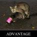 Amanda Heikkinen - Facebook