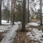 Amsku - @amandaheinonen727 - Instagram