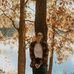 Amanda Heisey - Facebook