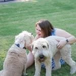Amanda Heitz - @amandaheitz - Instagram