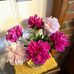 Amanda Hall - Facebook