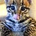 Amanda Helberg - Facebook